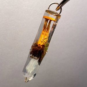 Mushroom and blue lace agate in Uv resin crystal